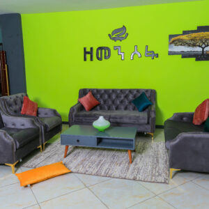 ZS-SOFA 001